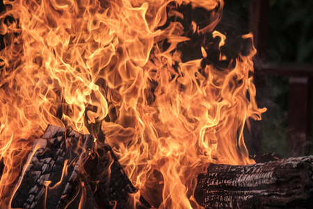 woods are burning in fireplace, warm, heat, fire in darkness. camping in nature in summerの写真素材