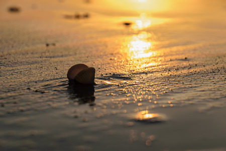 Beatiful sunset in the baltic sea with dense clouds and small waves, sea shells