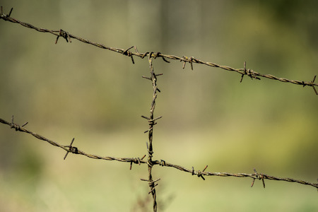 barbed wire fence on green background with tree leaves and vegetation in summer light