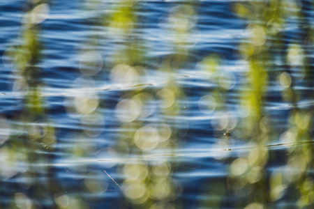 spring blossoms and leaves on birch trees on blur background. rural scene with fresh green foliageの写真素材