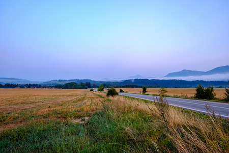 asphalted road leading up to the mountains in forest. summer time in slovakia, wavy lines and perspectiveの写真素材