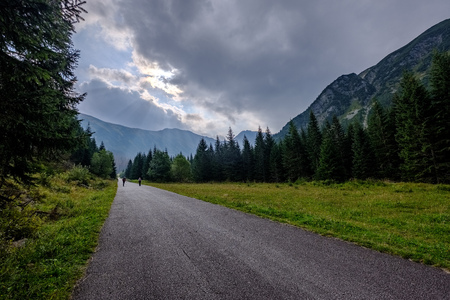 asphalted road leading up to the mountains in forest. summer time in slovakia, wavy lines and perspectiveの写真素材