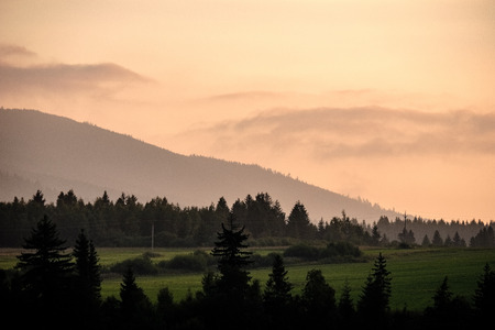 panoramic view of misty forest in western carpathian mountains. Tatra in foggy sunset, far horizon....