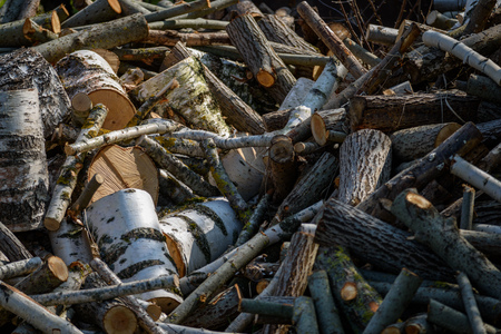 large pile of fire wood in countryside on a green grass background