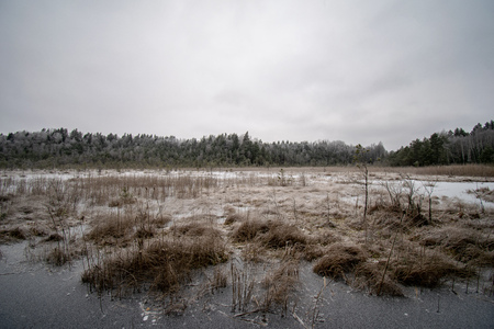 snowy winter countryside scene with snow and frozen trees and cloudy skyの写真素材