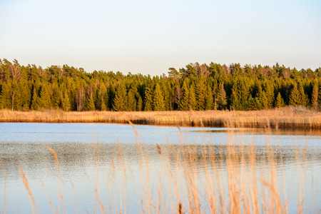 bents in sunset by the lake. abstract image with blur backgroundの写真素材