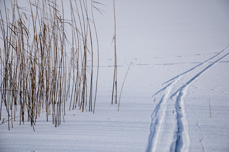 frozen lake shore in winter with footsteps in the snow and ice blocks across the scene. old treesの写真素材