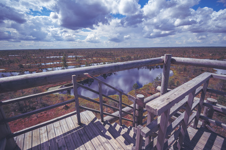 wooden footpath in swamp with beautiful evening sun light in green foliage of summer bog. wooden boardwalk in perspective view - vintage retro look - vintage autumn color lookの写真素材