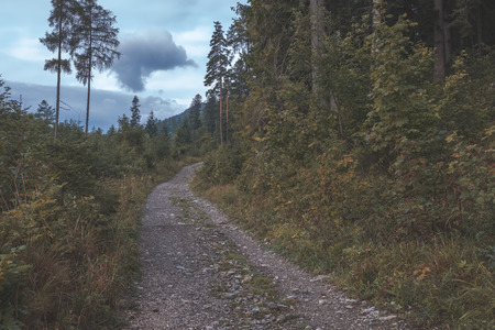 simple country gravel road in summer at countryside forest with trees around and clouds in the sky - vintage retro lookの写真素材