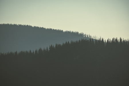 morning light rising over the hill tops and forests in the mountains Tatra in Slovakia. first rays of light - vintage retro lookの写真素材