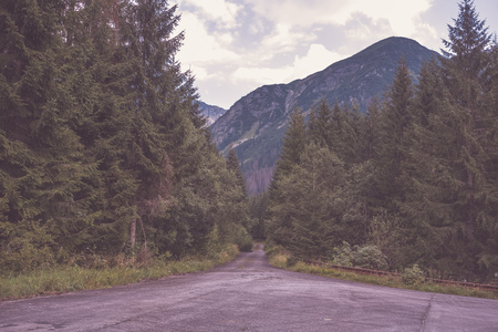 asphalted road leading up to the mountains in forest. summer time in slovakia, wavy lines and...