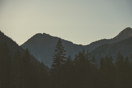 morning light rising over the hill tops and forests in the mountains Tatra in Slovakia. first rays of light - vintage retro lookの写真素材