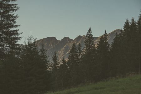 morning light rising over the hill tops and forests in the mountains Tatra in Slovakia. first rays of light - vintage retro lookの写真素材