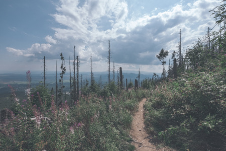 hiking trail in tatra mountains in Slovakia. mounatin view in late summer before autumn, clear sky with some clouds - vintage retro lookの写真素材