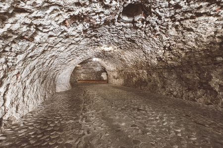 ruins of old abandoned castle on the cliff with bricks and stone. architecture details in Slovakia - vintage retro lookのeditorial素材