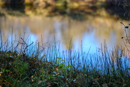 nature reflections in clear water in lake or river at countryside. autumn colorsの写真素材