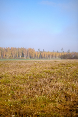 empty field in late autumn in brown fall colorsの写真素材