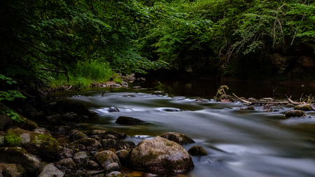 long exposure rocky mountain river in summer with high water stream level in forest with trees and sandy foreground shoreの写真素材