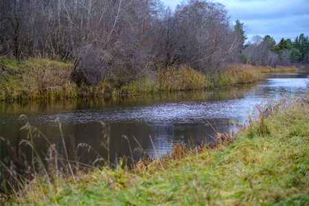 autumn colored trees and leaves in branches in park near body of water. country side landscape view