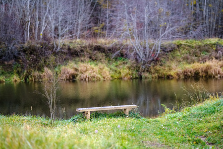 autumn colored trees and leaves in branches in park near body of water. country side landscape viewの写真素材