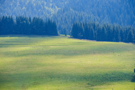 western carpathian Tatra mountain skyline with green fields and forests in foreground. summer in Slovakian hiking trailsの写真素材