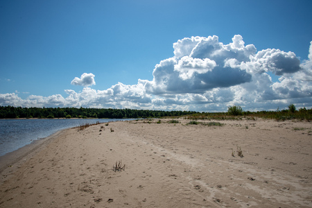 empty sea beach in spring with some birds and cargo ships on the horizon. blue sky, no cloudsの写真素材