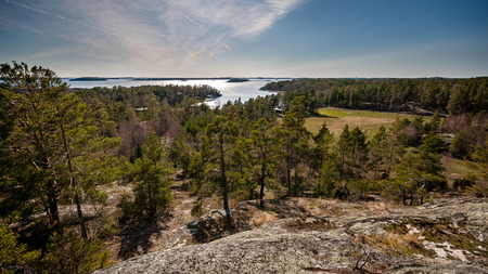 rocky coastline in Finland with few pine trees and calm water in summerの写真素材