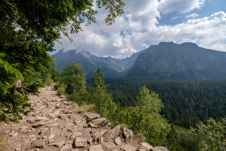 country gravel road on green meadow leading up to the mountains in Slovakiaの写真素材