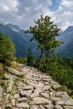 country gravel road on green meadow leading up to the mountains in Slovakiaの写真素材