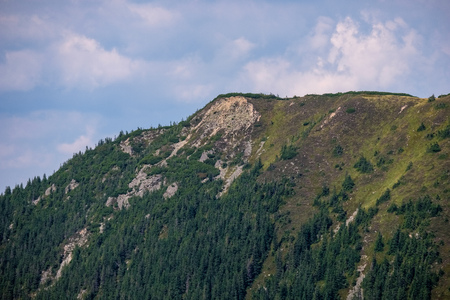 western carpathian mountain panorama in clear day with tourist hiking trails and green forest...