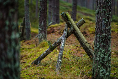 old wooden trenshes in Latvia with barbed wire and guard posts. reconstruction of first world war. Lozmetejkalns. dark forest eveningの写真素材