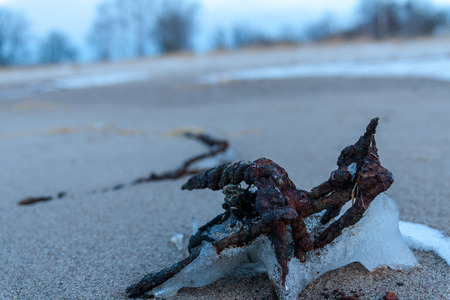 frozen sea side beach panorama in winter with lots of ice and snow in late eveningの写真素材