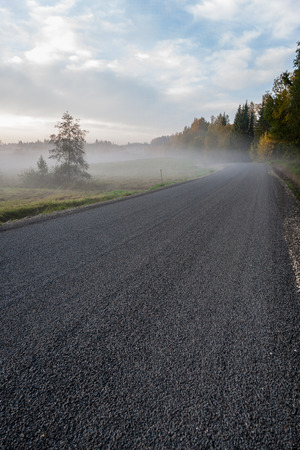 foggy country road in autumn with mist and asphalt. fall colorsの写真素材