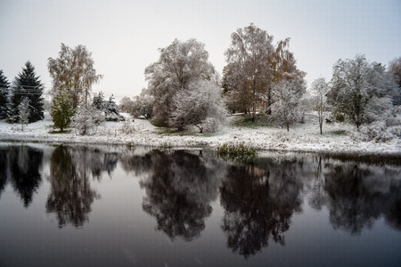 cold and calm morning view by the lake with first snow in winter with some green leaves left