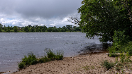 calm summer day view by the lake with clean water and water grass, bents, and green foliage near...