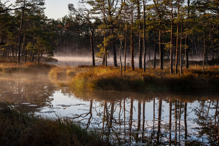 natural body of water. pond with reflections of trees and clouds in calm water surface