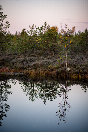 natural body of water. pond with reflections of trees and clouds in calm water surfaceの写真素材
