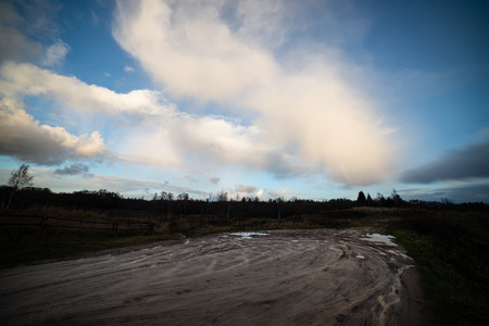 simple countryside forest road in perspective with foliage and trees aroundの写真素材