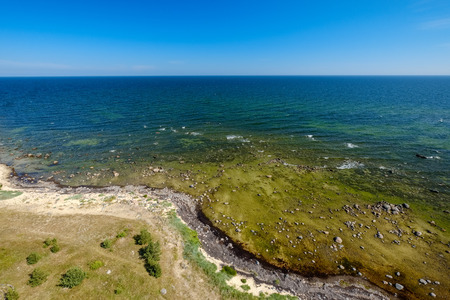 panoramic sea beach view in summer with rocks, plants and clean water in sunny dayの写真素材