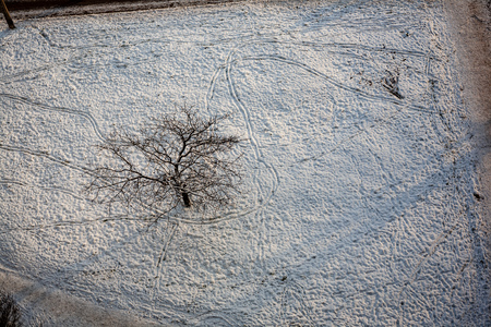 simple countryside landscape in latvia with fields and trees under snow. old grass reaching out