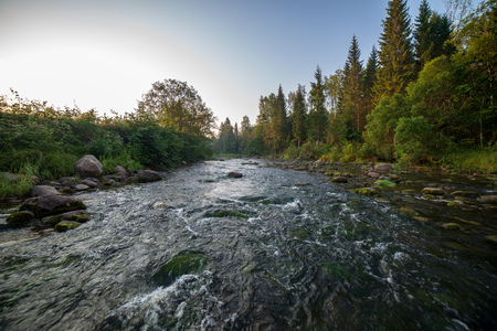 water stream in river of Amata in Latvia with sandstone cliffs, green foliage in summer morning