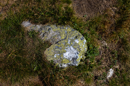 large granite rock single in nature environment isolated from otherの写真素材
