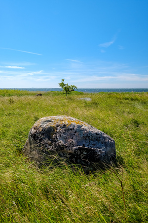 large granite rock single in nature environment isolated from otherの写真素材