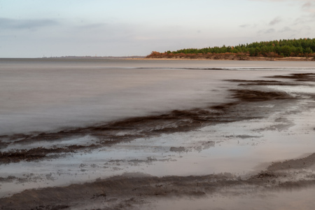 empty sea beach with sand dunes and dry tree trunks washed to the shore in summer. calm waterの写真素材
