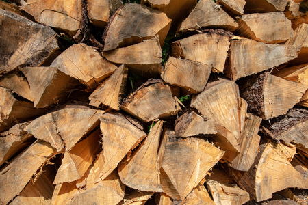 old dry tree trunk stomp texture with bark in nature