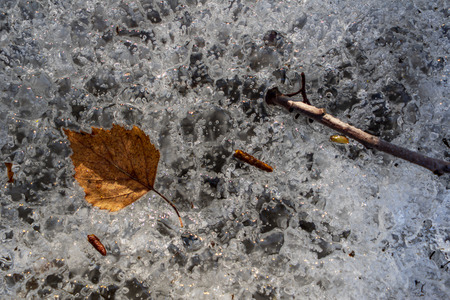 frozen nature details. tree branches and grass in snow and iceの写真素材