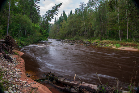 fast river in forest. Amata in Latvia with high water and rapid stream ready for kayaking in green...