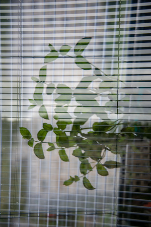 abstract textures with multi purpose lines and rhytm on household items backgroundの写真素材