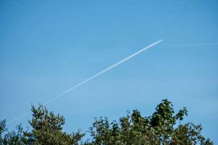 passenger plane leaves white smoke trail on blue sky, view from forest below treesの写真素材
