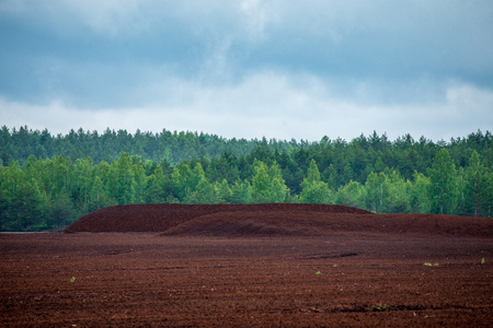 empty countryside landscape in autumn with fields and meadows and rare trees in background, late autumn in agricultureの写真素材